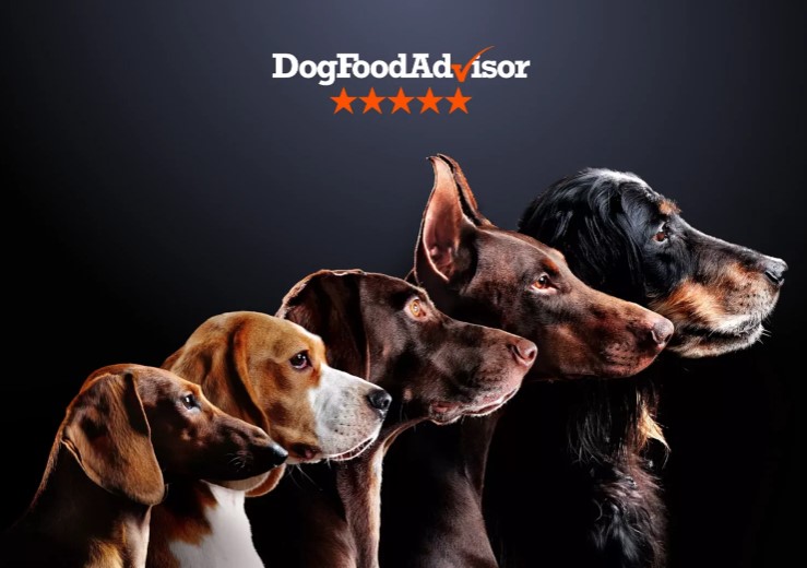 30-20 HIGH PROTEIN DOG FOOD - CHICKEN