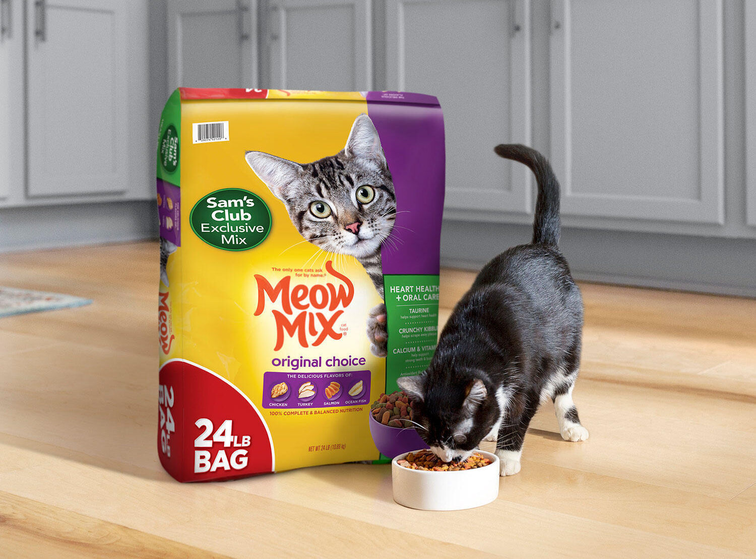 Meow Mix® Indoor Health