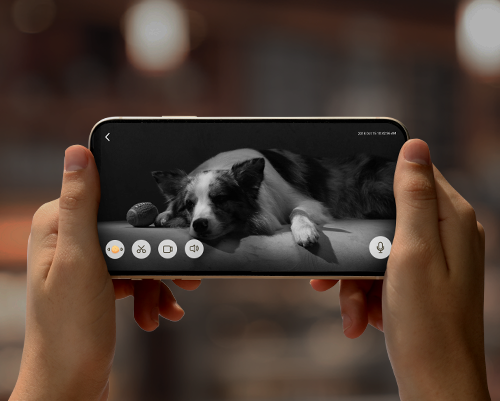 eufy Pet Dog Camera D605