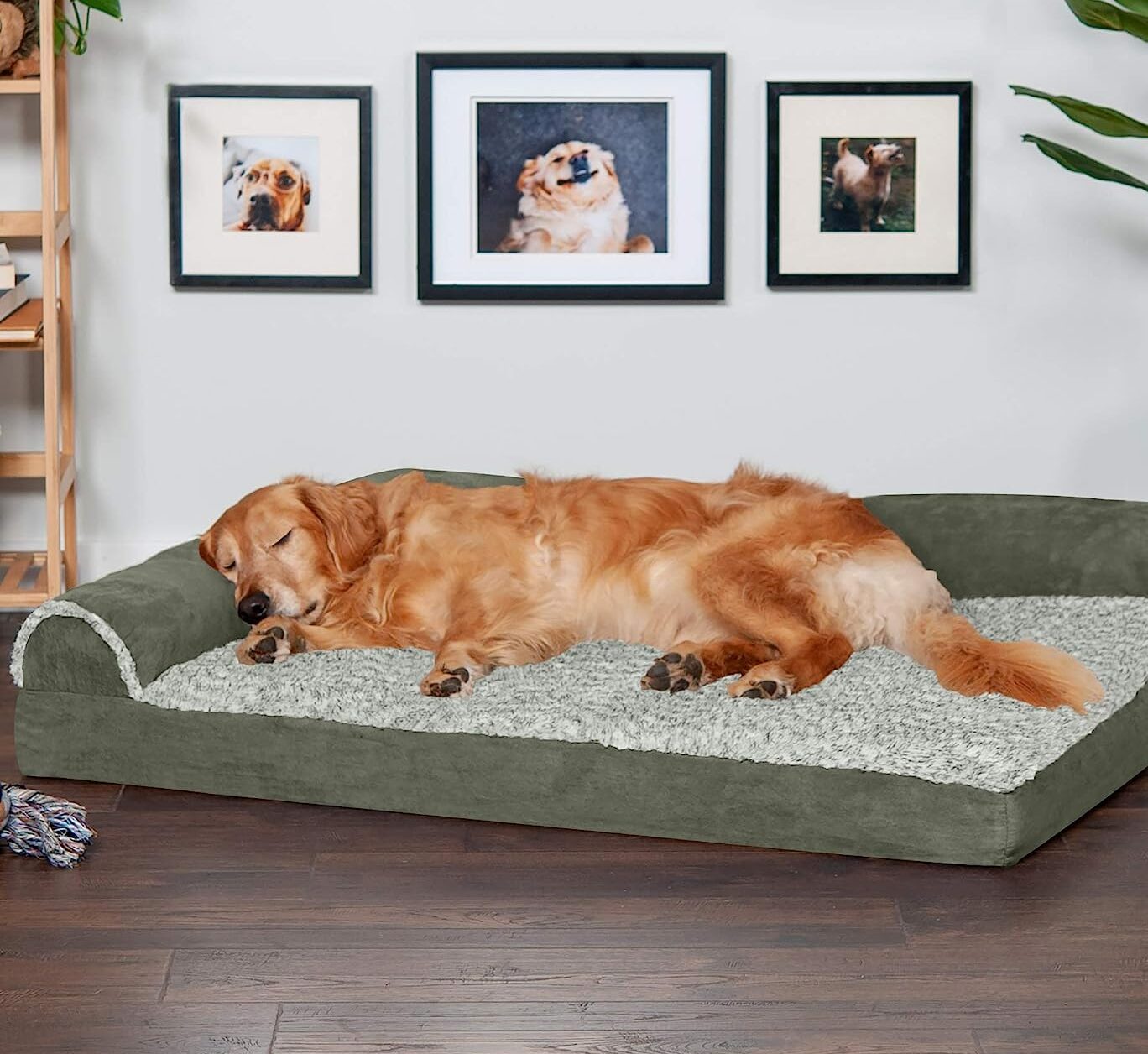 Furhaven Orthopedic Dog Bed for Large Dogs