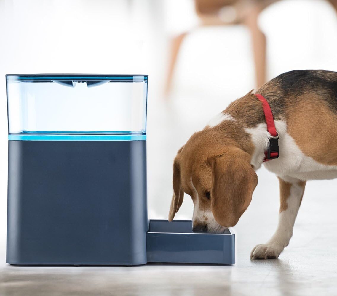 BABADIO Automatic Pet Feeder