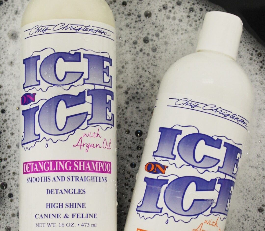 Ice on Ice Detangling Shampoo
