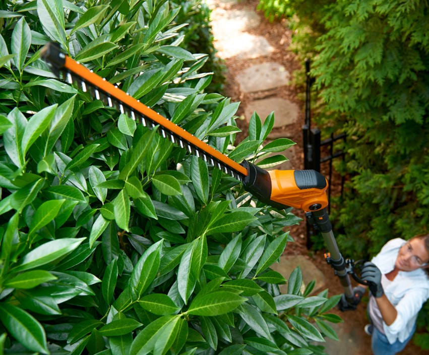 The Best Long Reach Hedge Trimmer