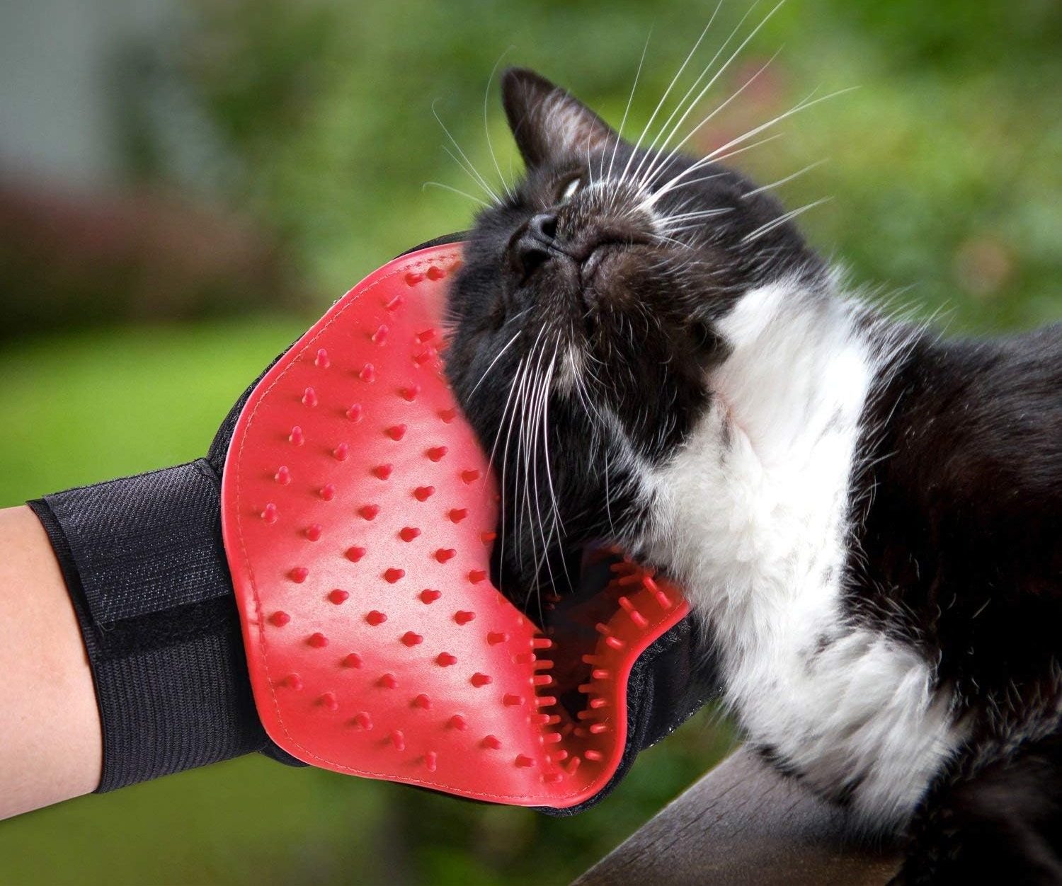 YETOO Pet Dog Cat Grooming Glove