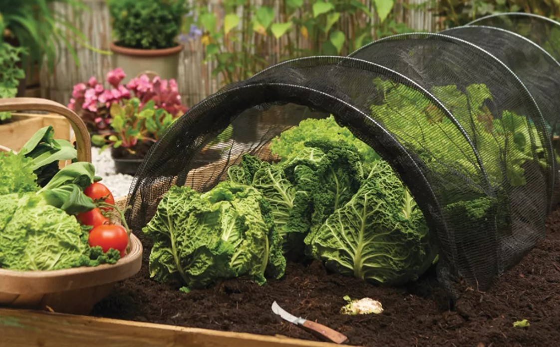 Kingfisher Net Grow Tunnel