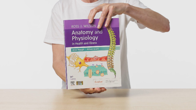 Discovering the wonders of the human body: My experience with Ross and Wilson