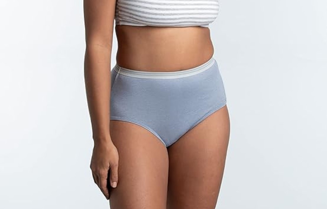 Fruit of the Loom Women's Eversoft Cotton Brief Underwear
