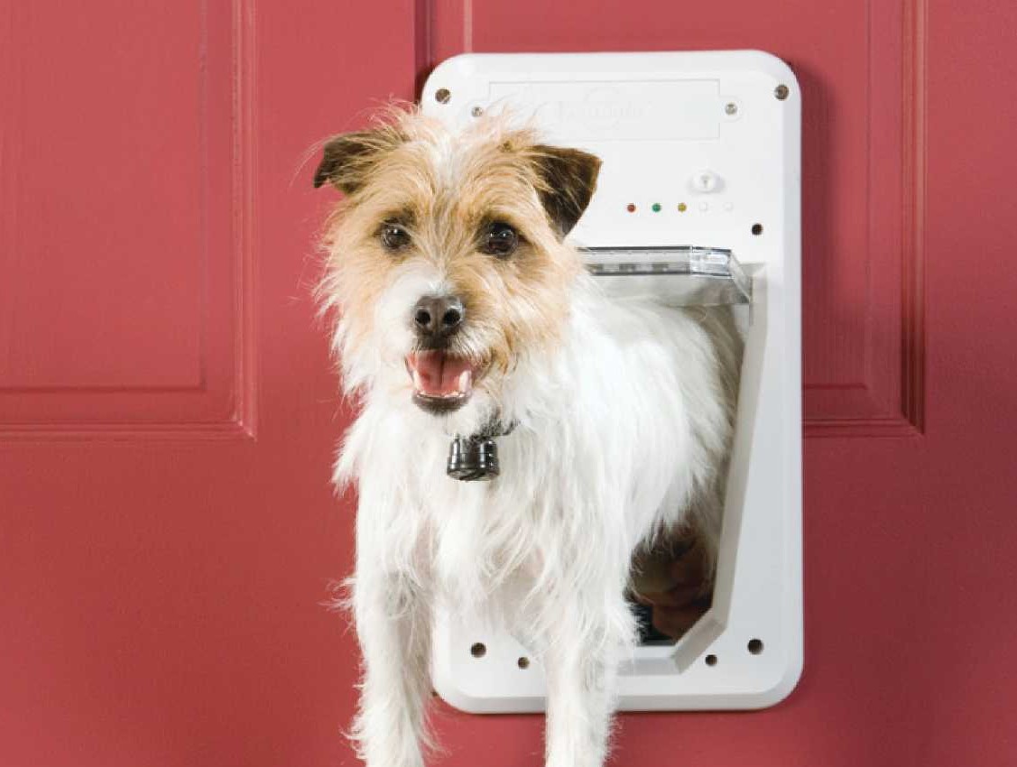 PetSafe Electronic - Security Boss Single Pane Lockable Patio Pet Door