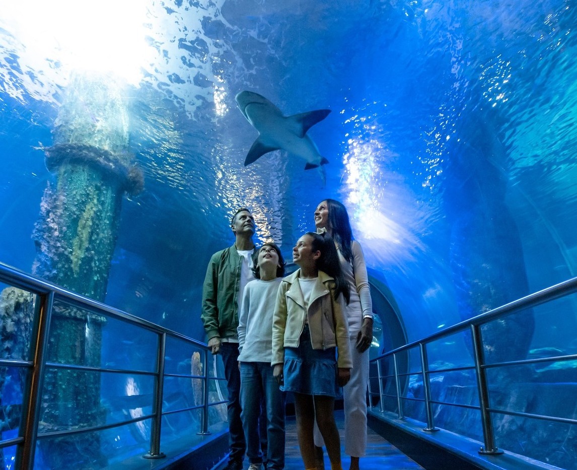 Melbourne Aquarium
