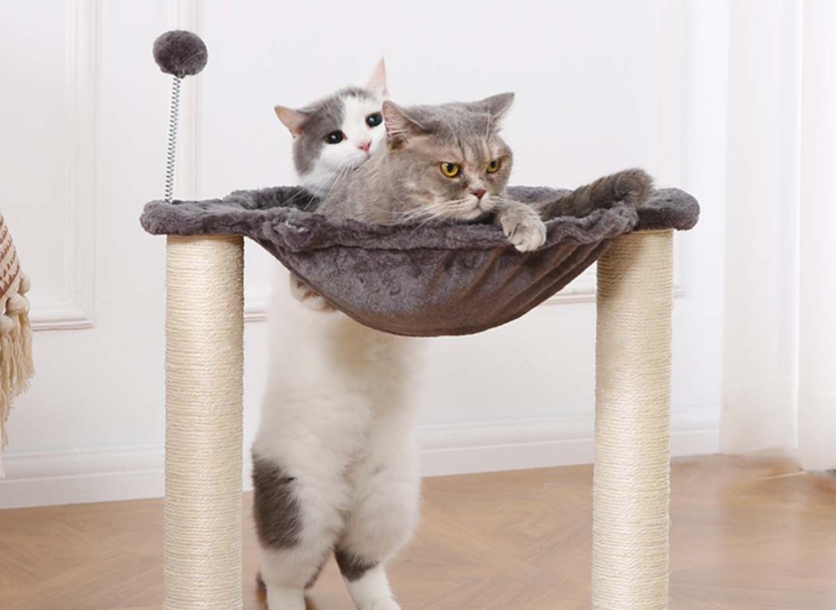 PetMaker Cat Hammock with Scratching Posts